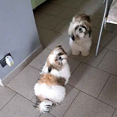 Bed & Breakfast B&B La Fontanella 4*