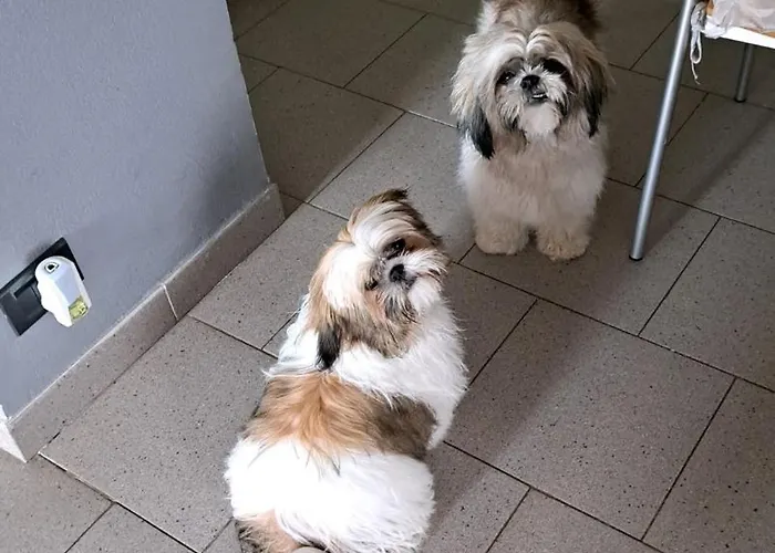 Bed and Breakfast La Fontanella 4*